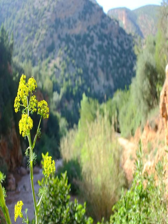 Riad Cascades D'Узуд Экстерьер фото
